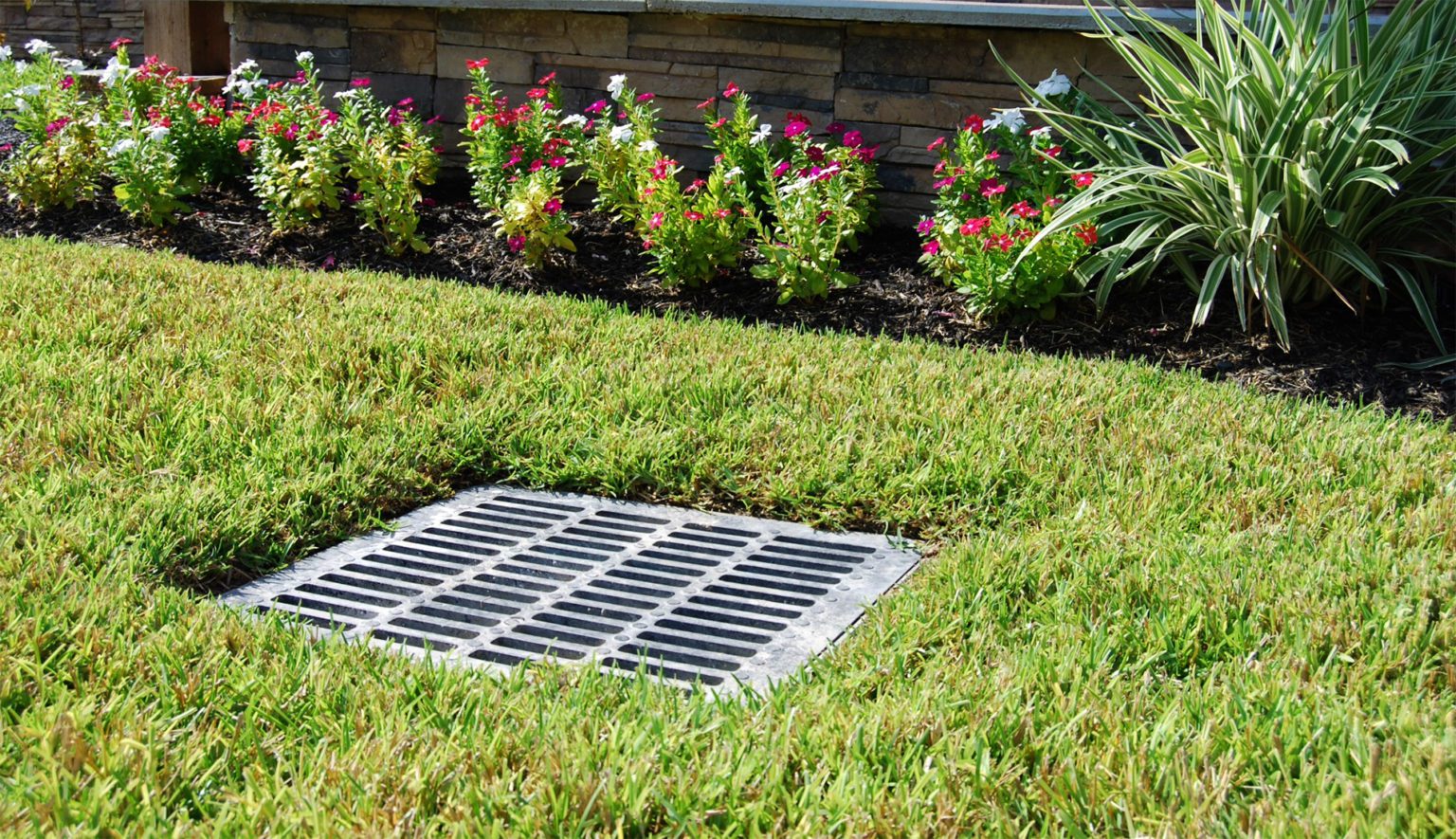 Problèmes de drainage dans la cour arrière