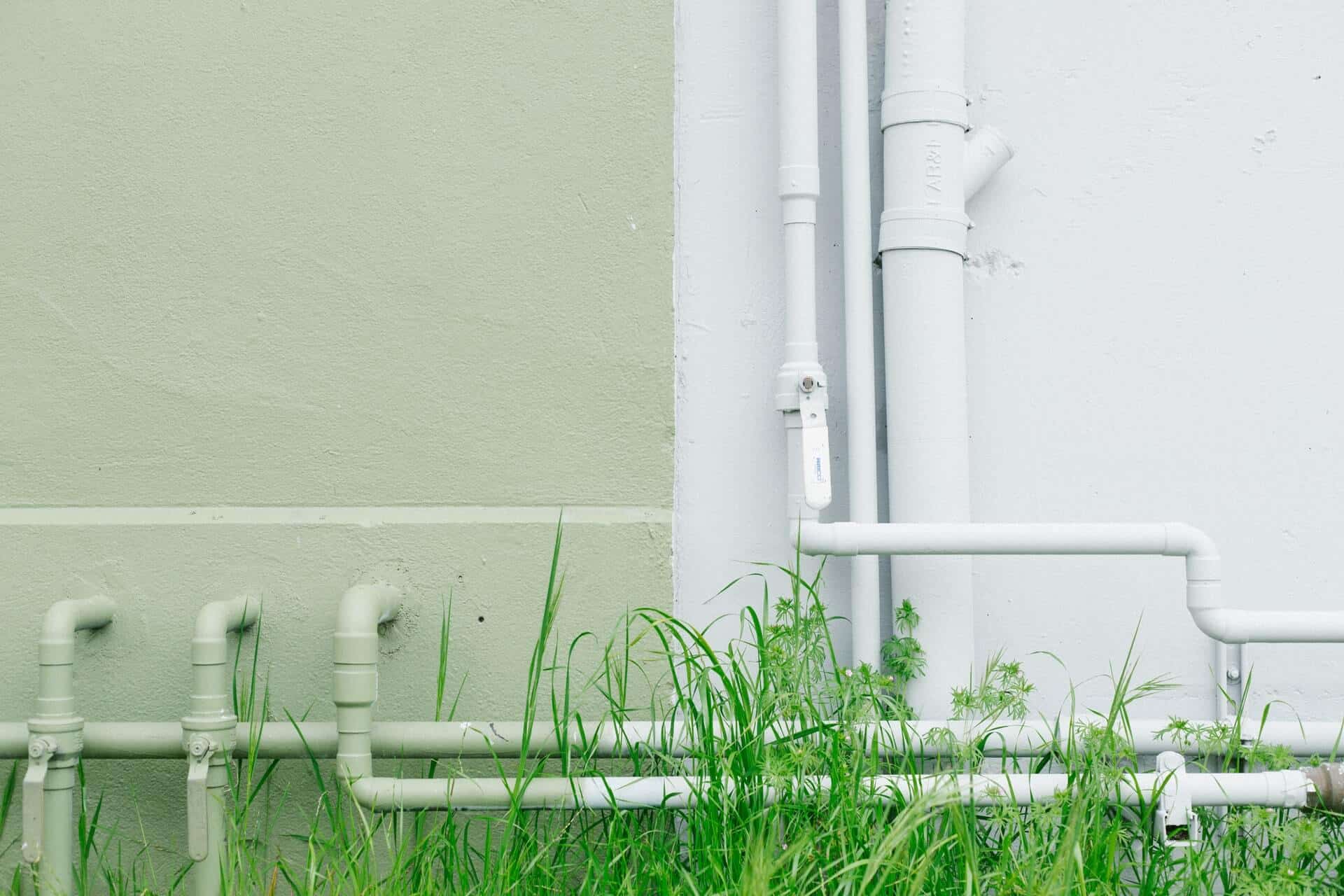 Pipes protrude from a green and white wall with grass growing along the base.